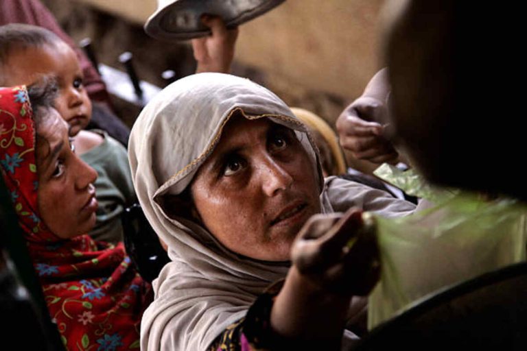 Global crisis themes: humanitarian aid, climate disasters, refugee displacement, war zones and coral bleaching, 2025.