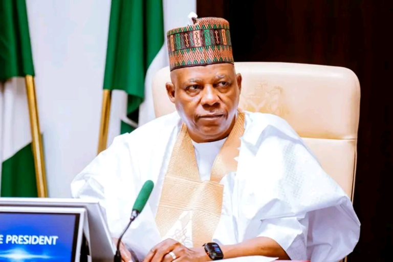 Kashim Shettima speaks at UN Food Summit in Ethiopia