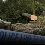 Photo shows the empty site of the Sycamore Gap tree felled near Hadrian’s Wall, England.