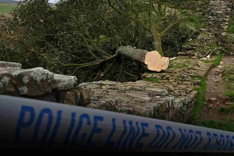 Photo shows the empty site of the Sycamore Gap tree felled near Hadrian’s Wall, England.