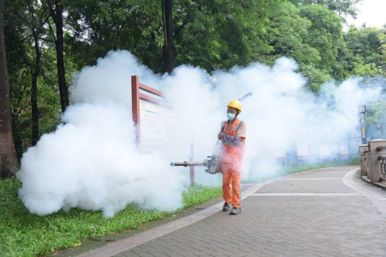 China Chikungunya Virus Response in Guangdong