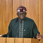 Nigerian woman processing shea nuts for local industry development