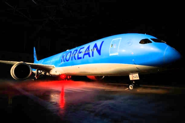 South Korea sends charter plane to Georgia to repatriate 300 detained workers | Epicstorian News South Korean workers detained at Hyundai Georgia plant during ICE raid lined in chains awaiting departure
