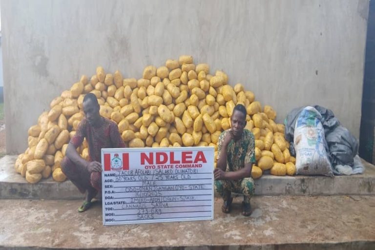 NDLEA officers inspect seized narcotics at Lagos airport following interception of drug trafficking attempts bound for foreign countries.