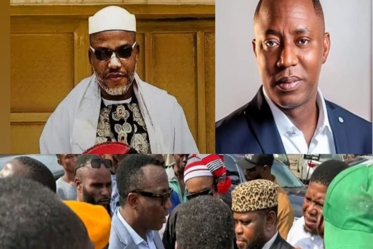 Nigerian protesters gather for Free Nnamdi Kanu campaign