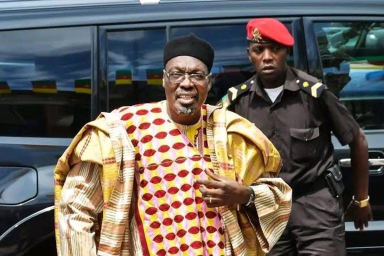 Cameroon opposition leader Tchiroma Bakary delivers a video message declaring himself president-elect after disputed national election results.