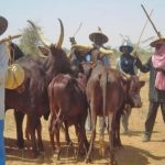 Scene of southern Kaduna community where teenage girl’s hand in Kaduna was wounded in suspected herdsmen assault, family appeals for help.