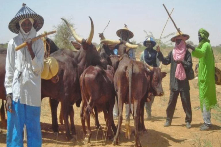 Suspected Fulani herdsmen accused by family of cutting off teenage girl’s hand in Kaduna | Epicstorian News Scene of southern Kaduna community where teenage girl’s hand in Kaduna was wounded in suspected herdsmen assault, family appeals for help.