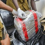 NDLEA and Customs officers display 347.5kg of Canadian Loud seized at Apapa Port