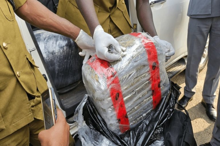 NDLEA and Customs officers display 347.5kg of Canadian Loud seized at Apapa Port