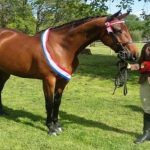 Champion horsewoman Abigail Garside pictured prior to death, with inquest held at Northallerton Coroner’s Court UK.