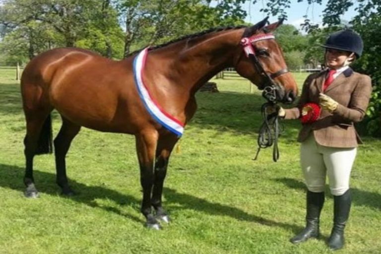 Champion horsewoman found dead after first wedding anniversary trip | Epicstorian News Champion horsewoman Abigail Garside pictured prior to death, with inquest held at Northallerton Coroner’s Court UK.